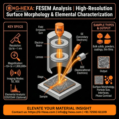 Field Emission Scanning Electron Microscopy (FESEM) Analysis