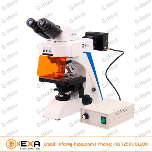 Upright Fluorescent Microscope GHEXA-16.2603-L-T2